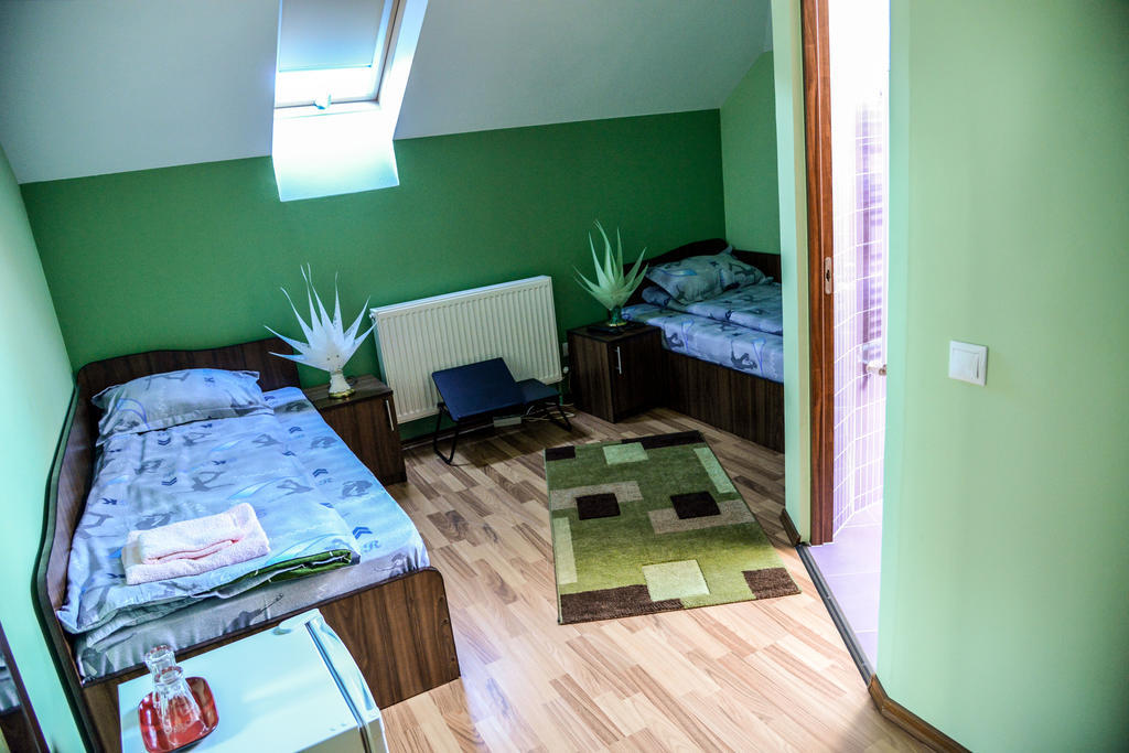 Pensiunea Andrei Râmnicu Vâlcea Cameră foto