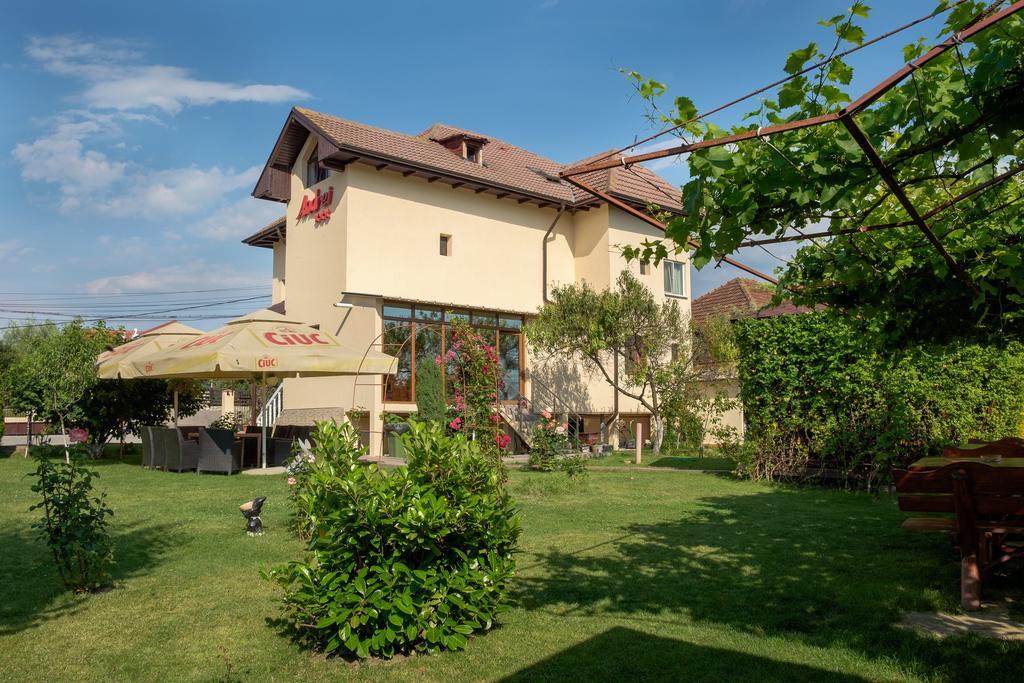 Pensiunea Andrei Râmnicu Vâlcea Exterior foto