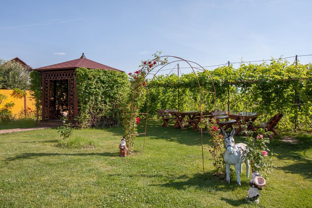 Pensiunea Andrei Râmnicu Vâlcea Exterior foto